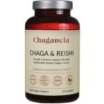 Chaganela Extrakt čagy s reishi 270 kapslí – Hledejceny.cz