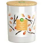 Air Wick Essential Oils Vanilla Bean & Sweet Almond 185 g – Hledejceny.cz