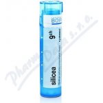 SILICEA POR 9CH GRA 4G – Hledejceny.cz