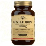 Solgar Gentle Iron 90 kapslí – Hledejceny.cz