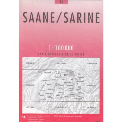 Saane Sarine 1:100 t.