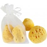 Caribbean Sun Menstruační houba Premium Intim M 2 ks – Zboží Dáma