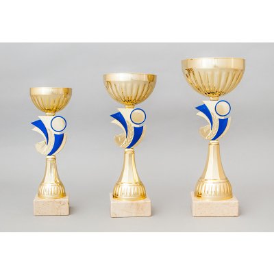 Zlatý sportovní pohár se zlato modrým středem 23 29 cm 29 cm – Zbozi.Blesk.cz