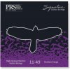 Struna PRS Signature Strings, Medium