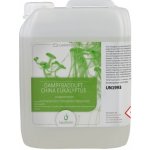 Finskasauna aroma do parní sauny eukalyptus 10 l – Hledejceny.cz
