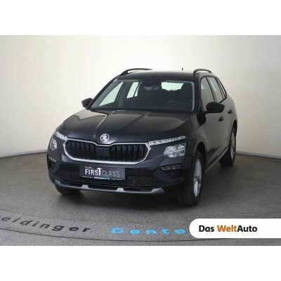Skoda Kamiq TSI Selection DSG 85 kW – Hledejceny.cz