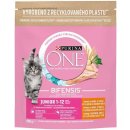 Purina ONE Bifensis Junior s kuřecím a celozrnnými obilovinami 800 g