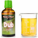 Bylinné kapky Gemmoterapie Dub pupeny tinktura z pupenů 50 ml – Hledejceny.cz