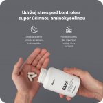 Vilgain GABA 90 kapslí – Sleviste.cz