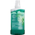 Natura Siberica Přírodní se 7 sibiřskými bylinami a zinkem 520 ml – Zboží Mobilmania
