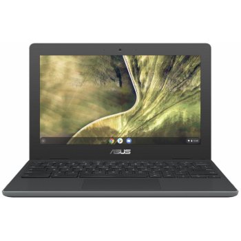 Asus Chromebook C204MA-GJ0512