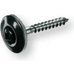 Coleman Klempířský vrut - TX20 4,5x035 - Antracitová 167283-250 – Hledejceny.cz