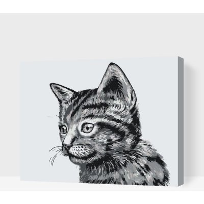 Vymalujsisam Malování podle čísel Roztomilé černobílé koťátko