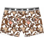 Tazmánský čert – Sleviste.cz