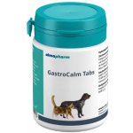 Almapharm GmbH + Co. KG GastroCalm Tabs 20tbl – Hledejceny.cz