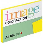 Coloraction 111434 – Hledejceny.cz