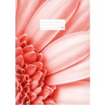 MFP Paper školní sešit A4 440 – Zboží Mobilmania