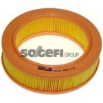 Vzduchový filtr PURFLUX A194 – Zboží Mobilmania