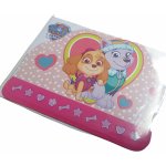 Pozvánka na narozeniny 6ks + 6 ks obálek Paw patrol - tib – Zboží Dáma