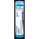 FLUORICUM ACIDUM POR 9CH GRA 1X4G – Hledejceny.cz