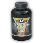 Bodyflex Omega 3 200 kapslí – Hledejceny.cz