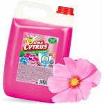 Gold cytrus prostředek na myti nádobí 5 l – Zbozi.Blesk.cz