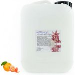 PM Aqualog esence do parních kabin pomeranč-mandarinka 861-005/D 5 l – Hledejceny.cz
