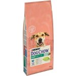 Purina Dog Chow Adult Light Turkey 2,5 kg – Hledejceny.cz