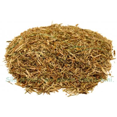 Koňské bylinky Svízel přítula nať Galium aparine 1 kg – Sleviste.cz