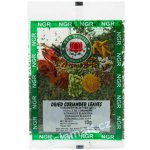 NGR India Lístky Koriandru 10 g – Hledejceny.cz
