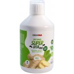 Czech Virus SuperVita Pro V2.0 500 ml spicy ginger – Zbozi.Blesk.cz