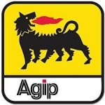 Eni-Agip Fork Oil SAE 15W 1 l | Zboží Auto