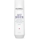 Goldwell Dualsenses Just Smooth Taming Shampoo 250 ml