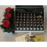 Bewit Bachova míchaná esence 30 ml – Hledejceny.cz