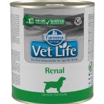 Vet Life Natural Dog Renal 300 g – Hledejceny.cz