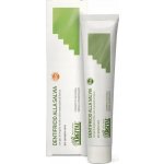 Argital se šalvějí a zeleným jílem 75 ml – Hledejceny.cz