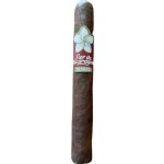 Flor de Nicaragua Colorado Robusto – Zboží Mobilmania