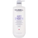 Goldwell Dualsenses Just Smooth Taming Conditioner 1000 ml – Zboží Dáma