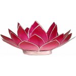 Nefertitis Svícen lotos cyklámen NF10291 - cca 13,5 cm – Hledejceny.cz