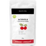 Health Link Bio Acerola prášek Raw 80 g – Hledejceny.cz
