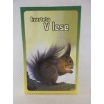 Kvarteto: V lese – Zboží Dáma