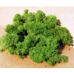 Heki Kittler Islandský mech světle zelený 75 g 3219 – Zboží Dáma