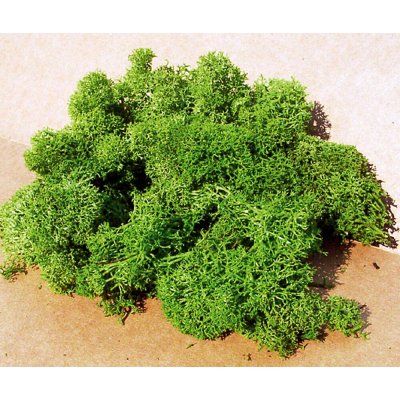 Heki Kittler Islandský mech světle zelený 75 g 3219 – Zboží Dáma