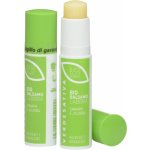 VERDESATIVA Balzám na rty s konopím a jojobou 5,70 ml – Zboží Dáma