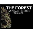 hra pro PC The Forest