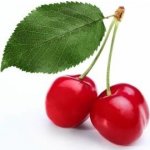 Joypaste Ochucovací pasta Višeň 200 g – Sleviste.cz