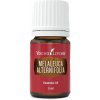 Vonný olej Young Living Melaleuca Alternifolia Tea tree esenciální olej 5 ml