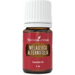 Young Living Melaleuca Alternifolia Tea tree esenciální olej 5 ml – Hledejceny.cz