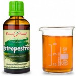 Bylinné kapky Ostropestřec tinktura 50 ml – Hledejceny.cz
