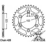 JT Sprockets JTR 1258-54 | Zboží Auto